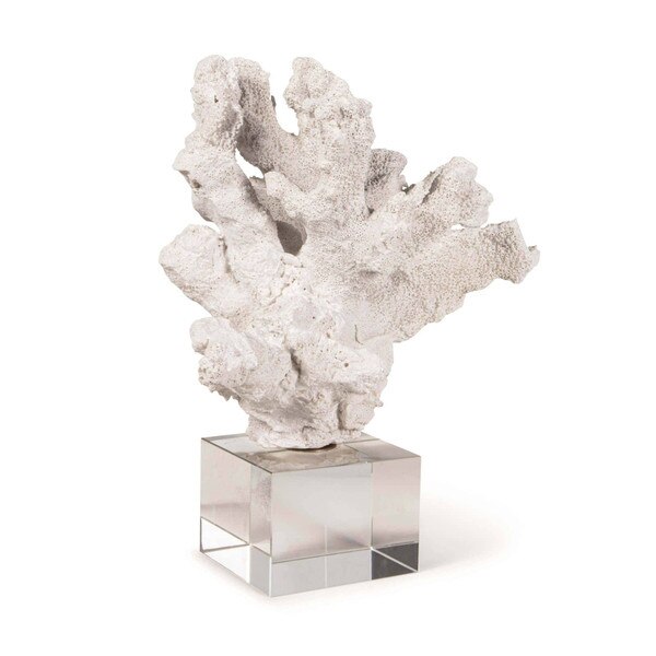 Coral Accessory